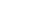 THE JAPAN-CITY